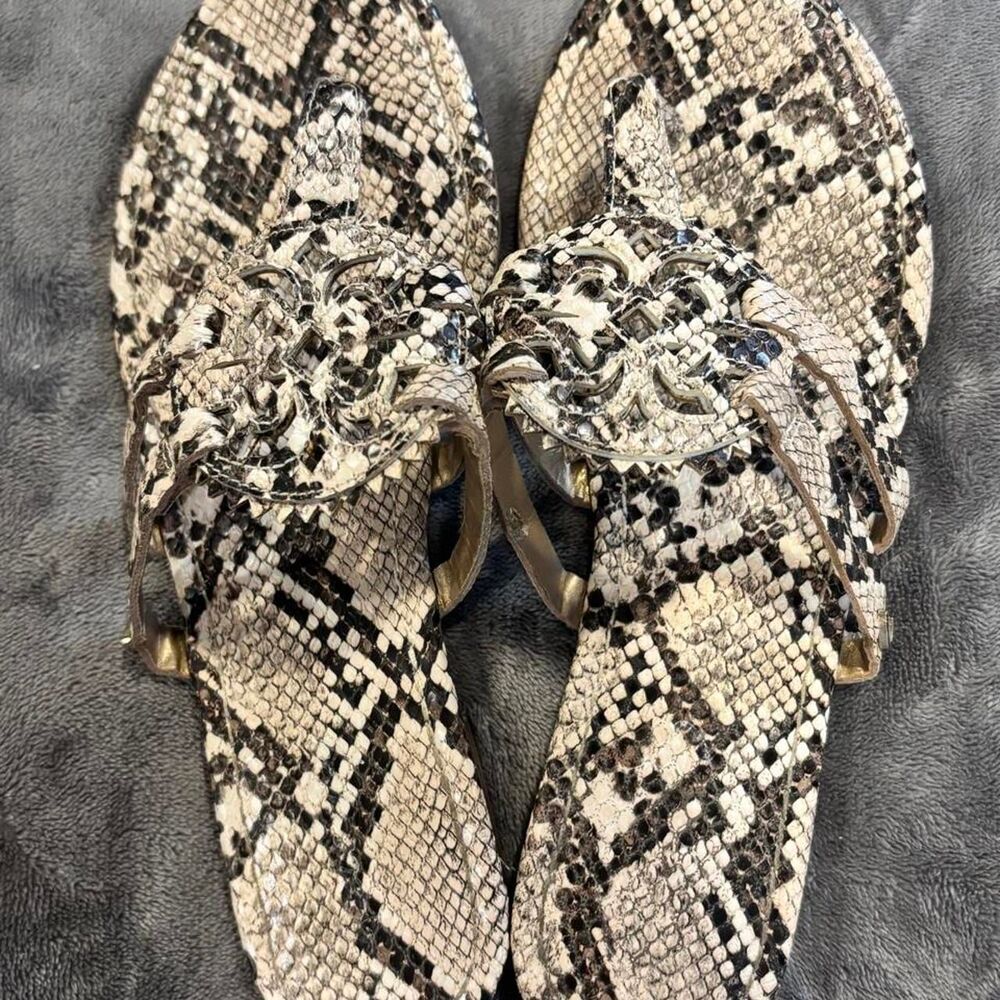 Circus-by-sam-edelman Women's multi Sandals